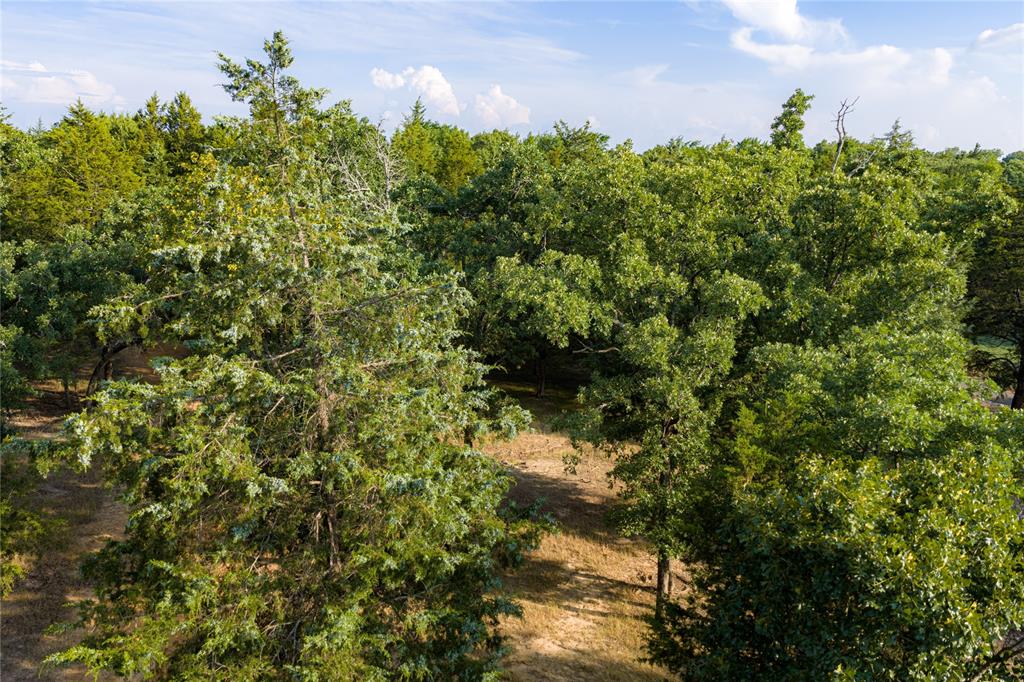 3350 Fm 1256 Property Photo 24