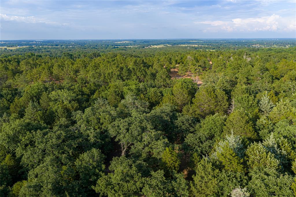 3350 Fm 1256 Property Photo 25