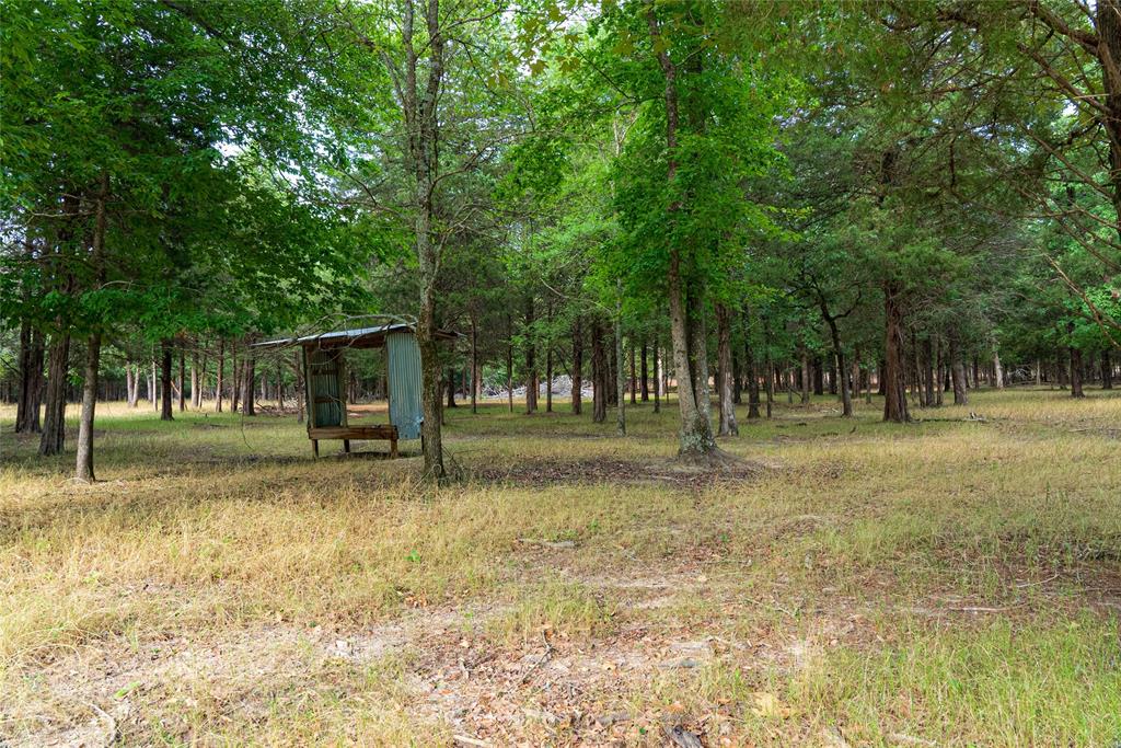 3350 Fm 1256 Property Photo 29