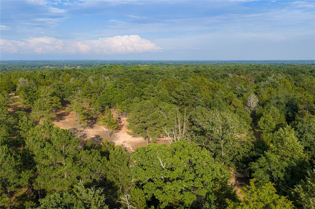 3350 Fm 1256 Property Photo 31