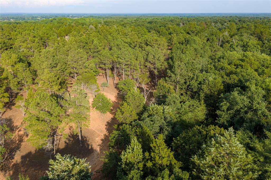 3350 Fm 1256 Property Photo 32