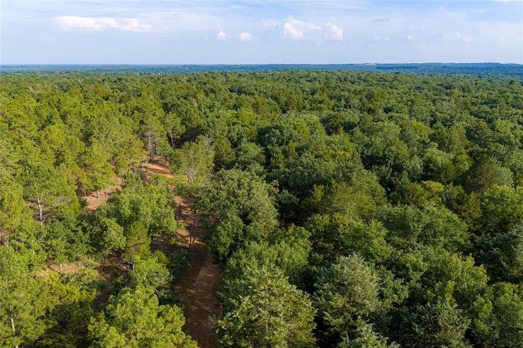 3350 Fm 1256 Property Photo 34
