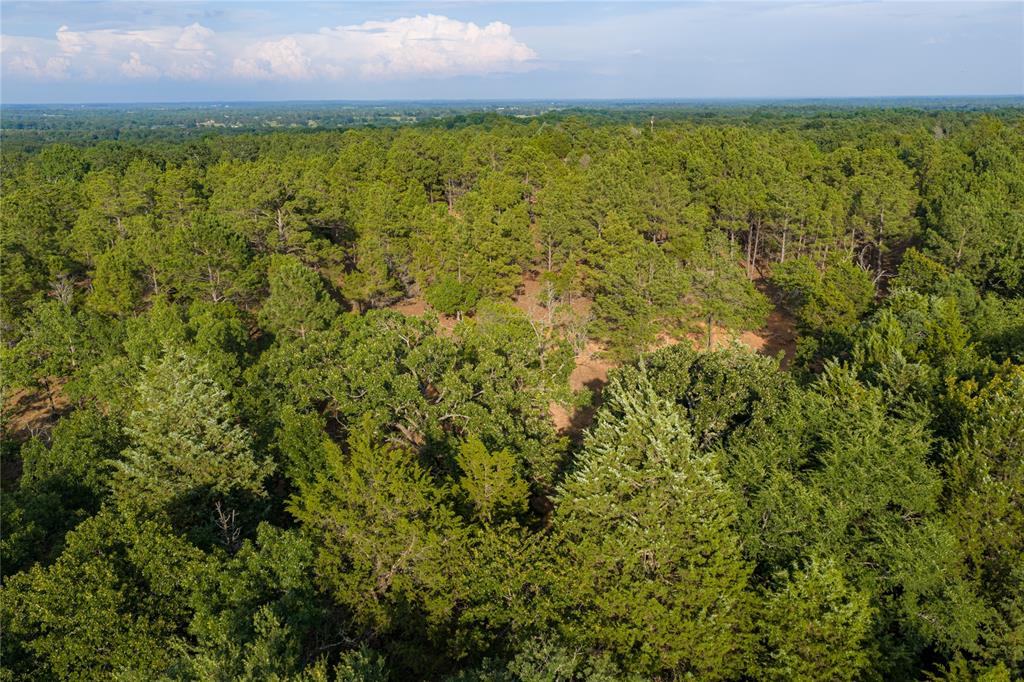 3350 Fm 1256 Property Photo 37