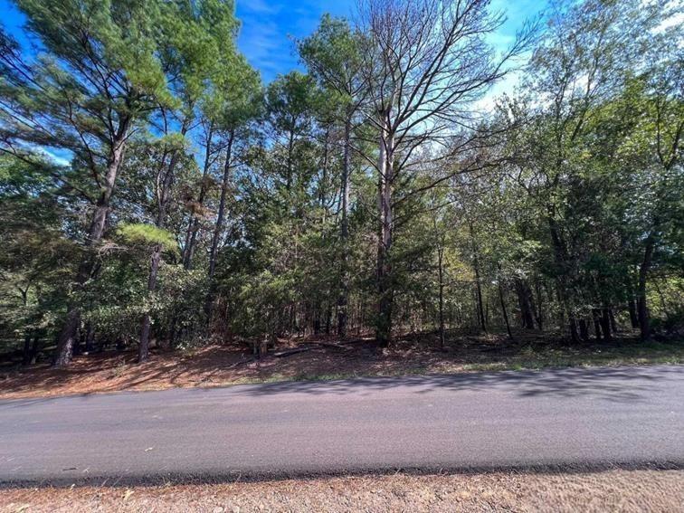 Lot 49 Angelina Dr Property Photo 1