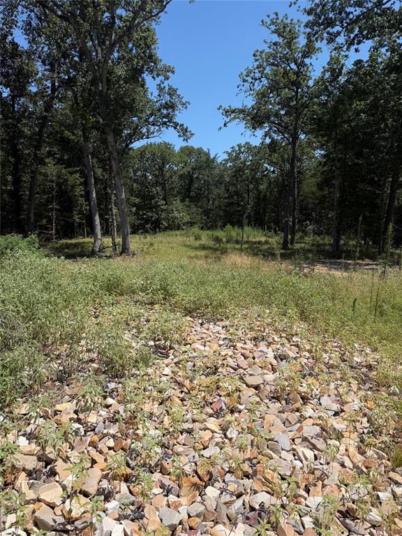 7310 Fm 1567 Property Photo 1