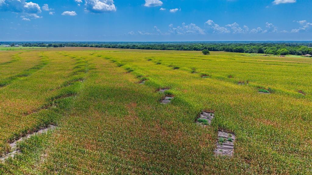 Tbd Fm 2655 Property Photo 14