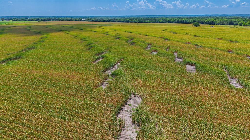 Tbd Fm 2655 Property Photo 15