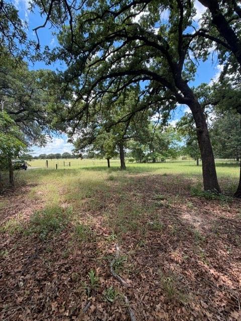 1363 County Road 527 Property Photo 8