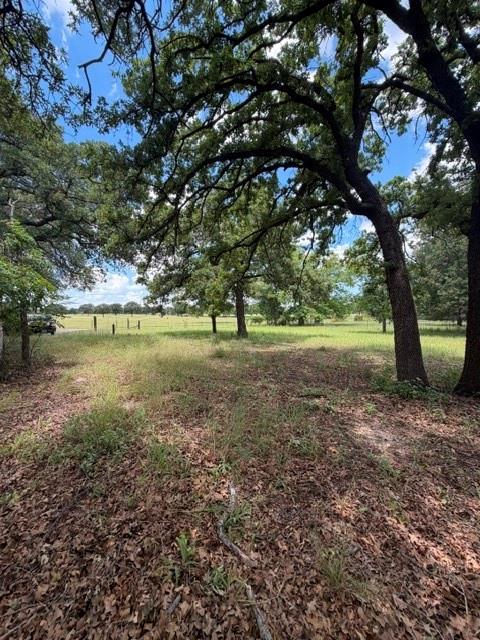 1363 County Road 527 Property Photo 9