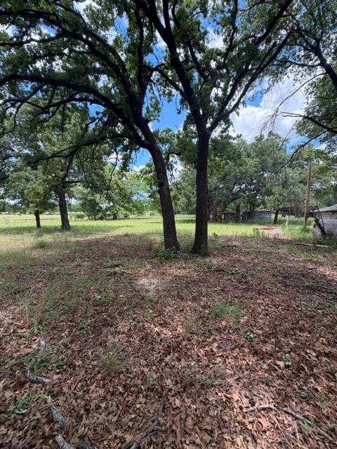 1363 County Road 527 Property Photo 10