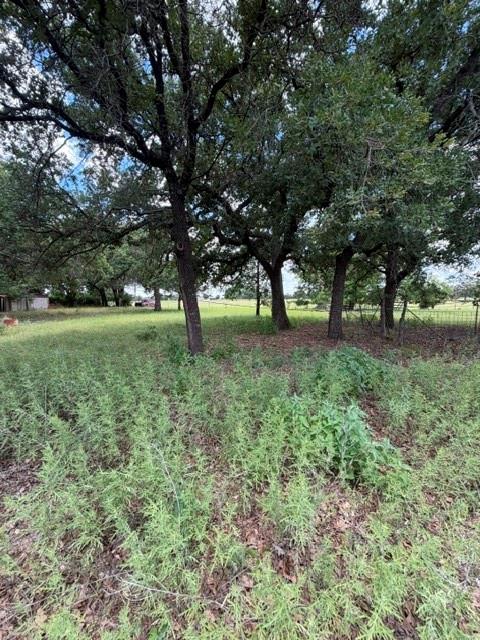 1363 County Road 527 Property Photo 14