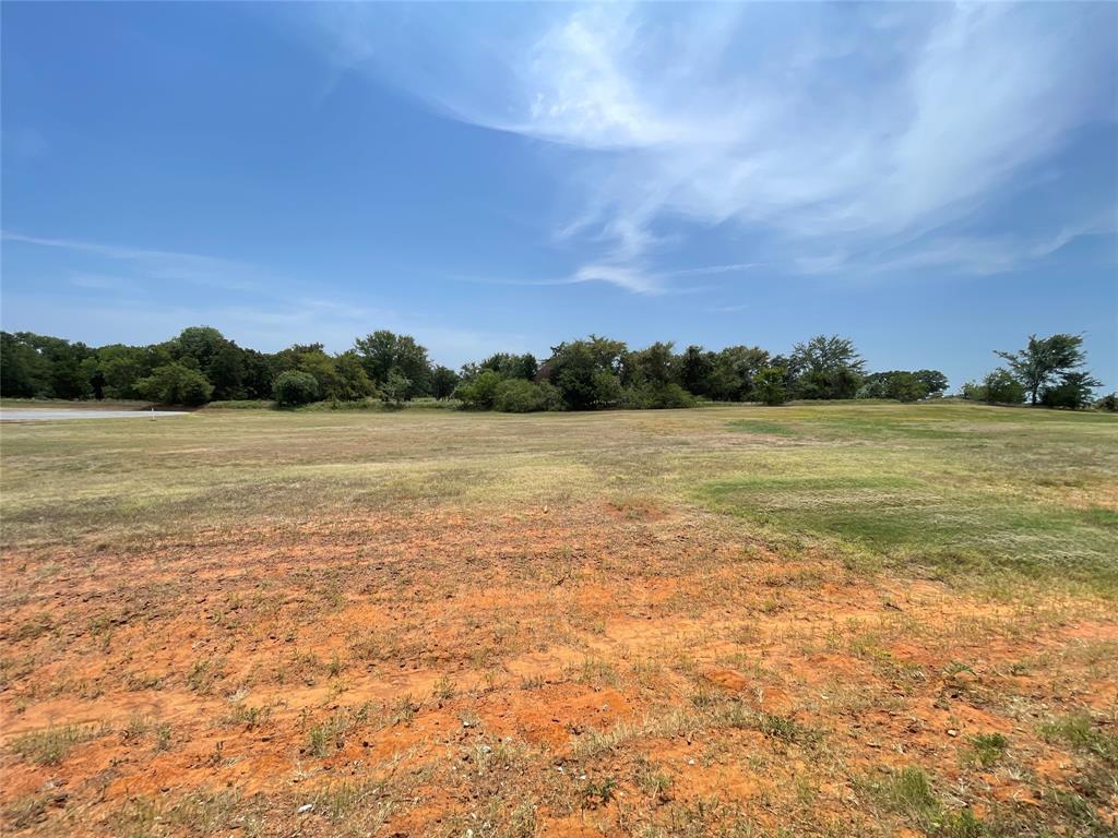60 Wing Haven Court Property Photo 2