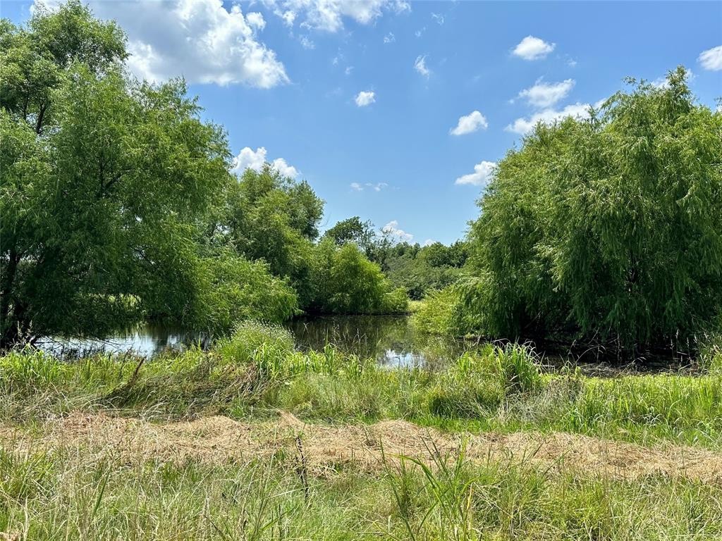 Tbd Fm 512 Property Photo 14