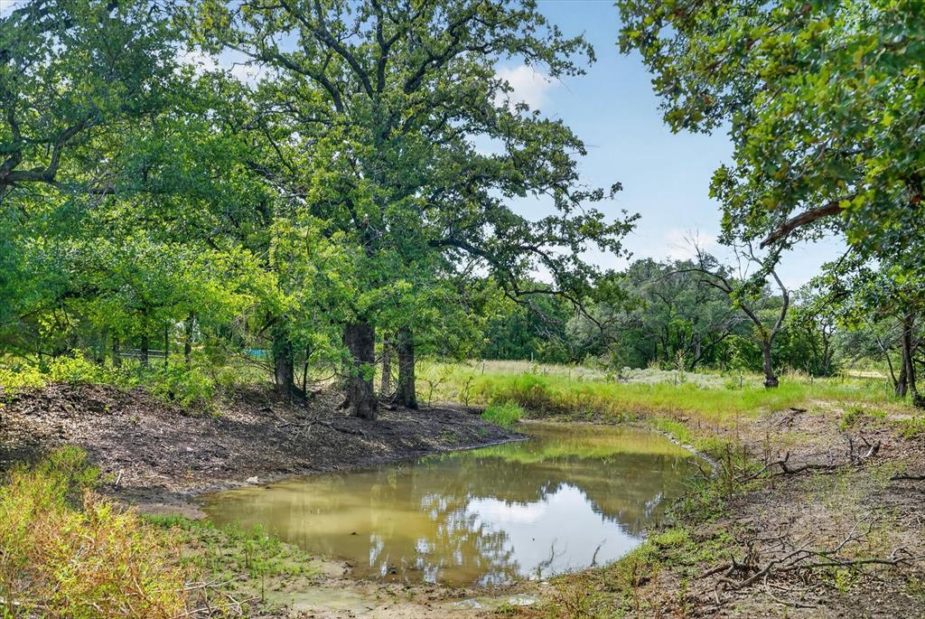 19800 E Fm 1188 Property Photo 25