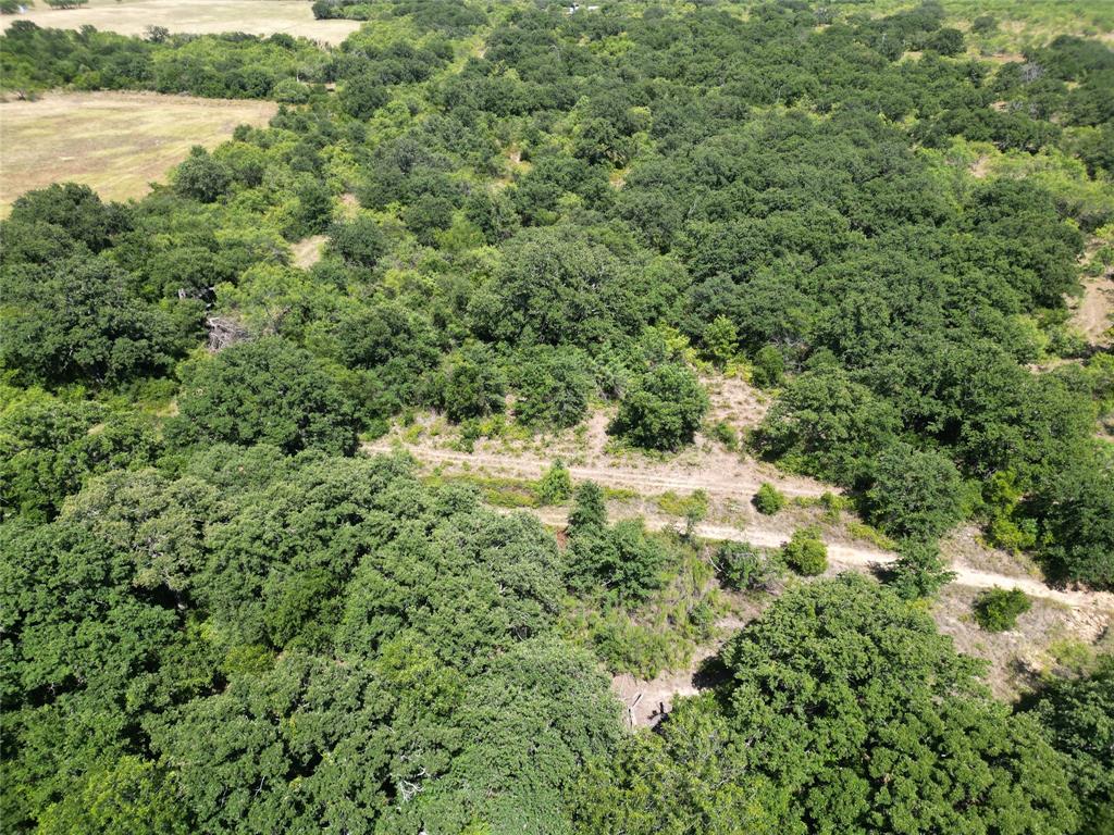 25300 State Highway 279 Property Photo 20