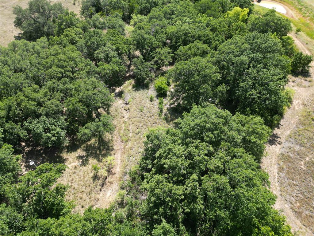 25300 State Highway 279 Property Photo 22