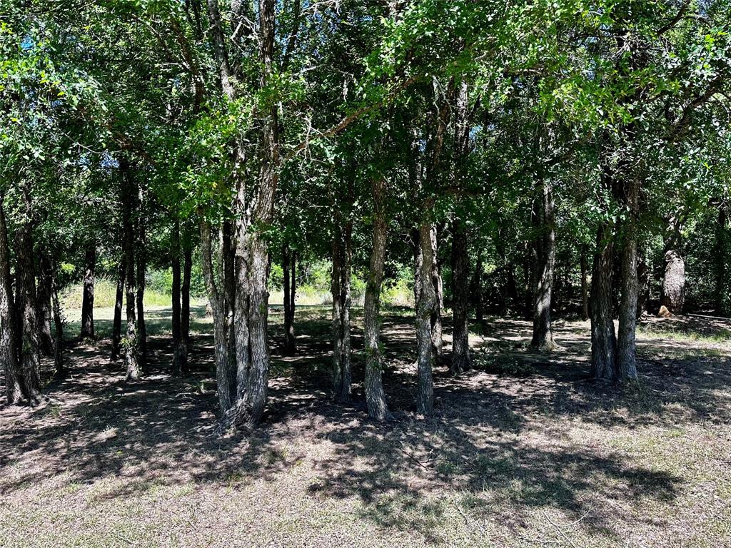25300 State Highway 279 Property Photo 26