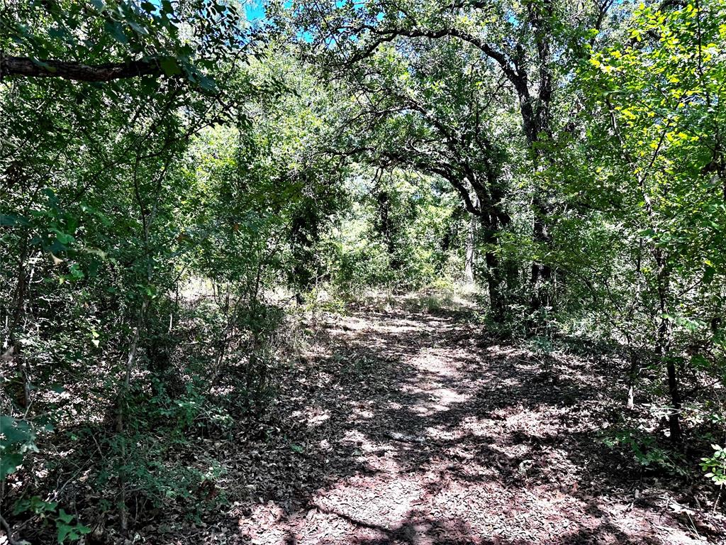 25300 State Highway 279 Property Photo 27