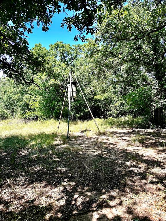 25300 State Highway 279 Property Photo 28