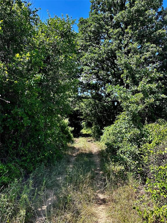 25300 State Highway 279 Property Photo 29