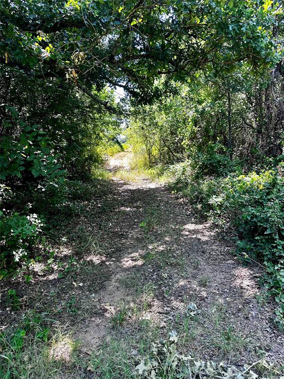 25300 State Highway 279 Property Photo 30