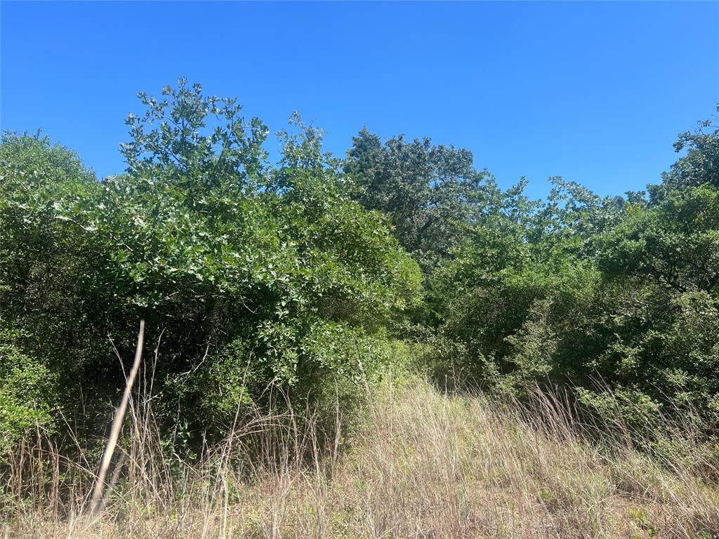 4500 Pr Property Photo 2