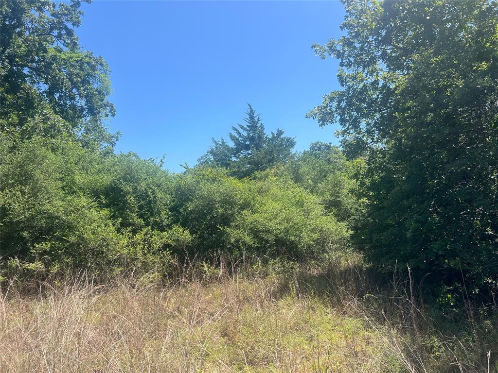 4500 Pr Property Photo 5