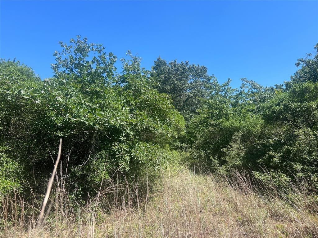 4500 Pr Property Photo 11