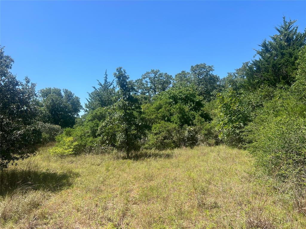 4500 Pr Property Photo 13