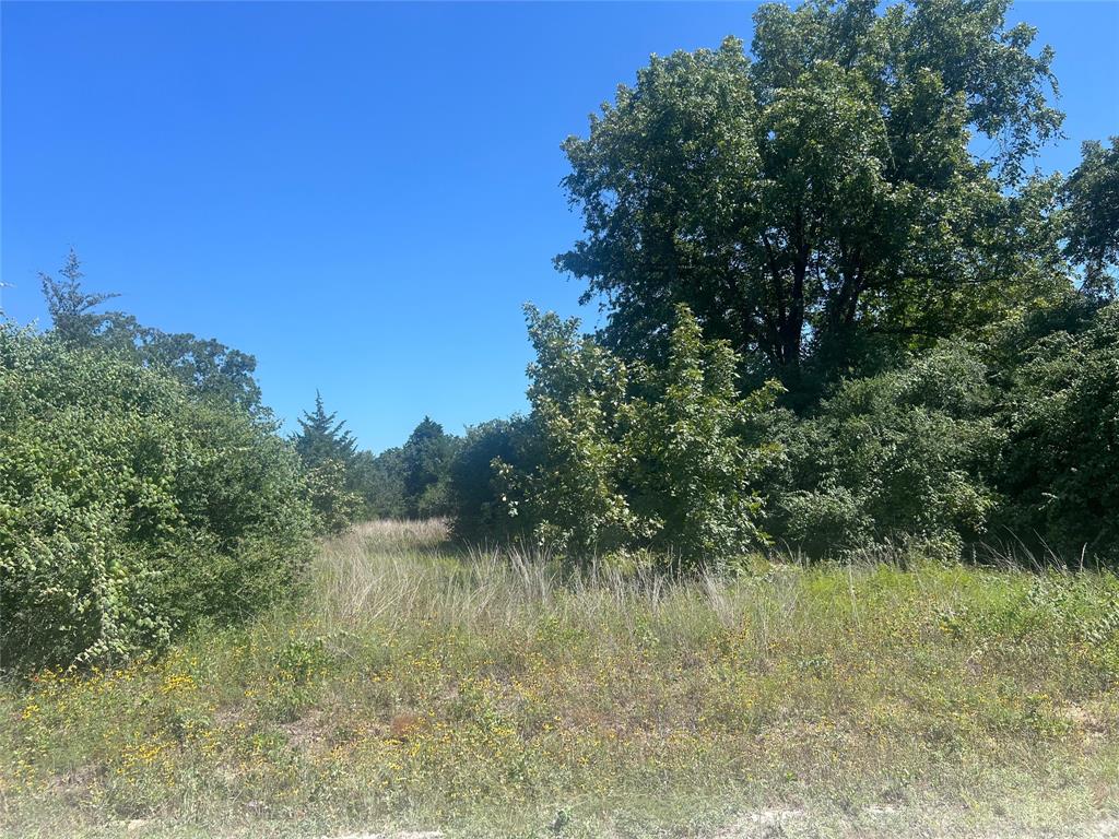 4500 Pr Property Photo 14