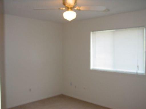 110 Graystone Place Property Photo 6