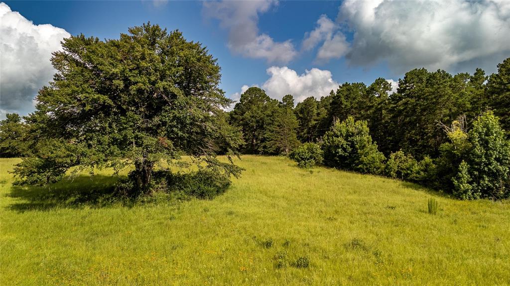 738 Cr 1209 Property Photo 16
