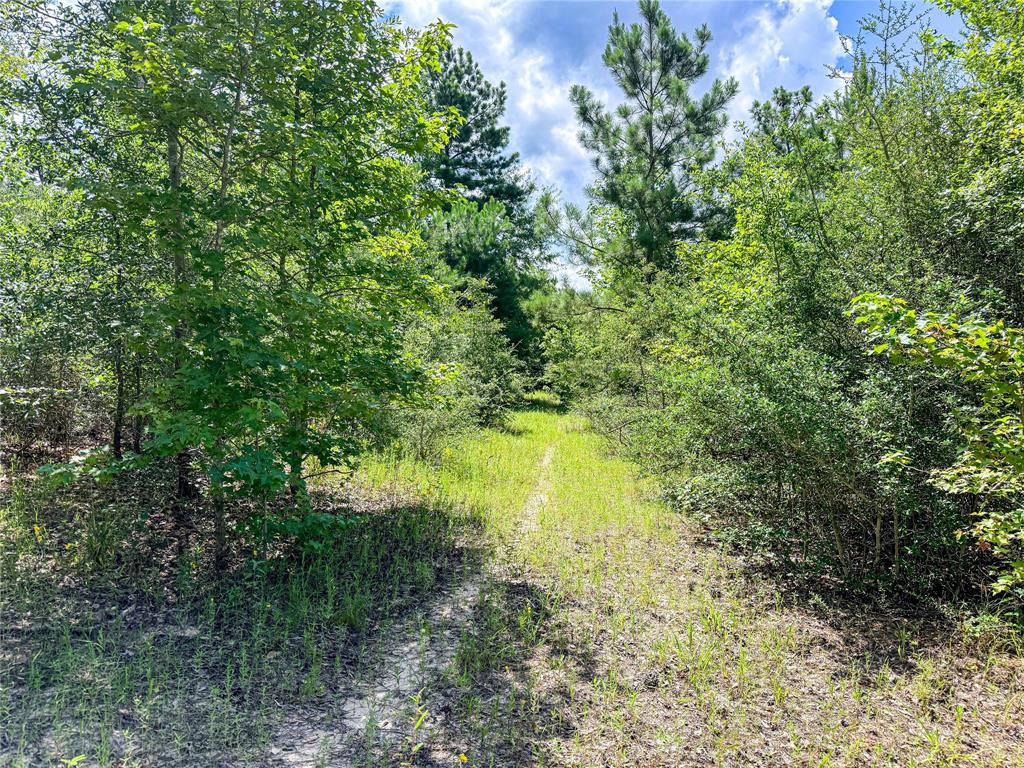 738 Cr 1209 Property Photo 20
