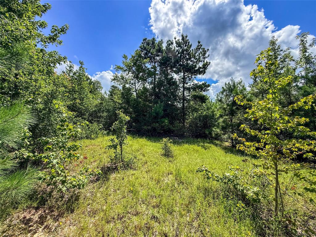 738 Cr 1209 Property Photo 21