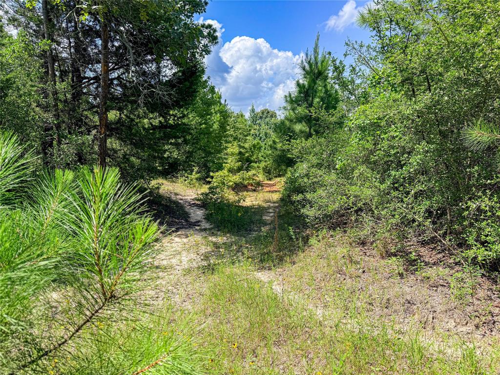 738 Cr 1209 Property Photo 35