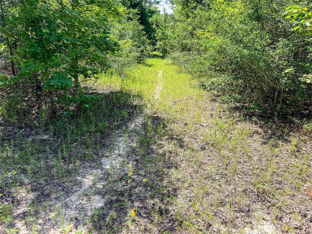 738 Cr 1209 Property Photo 37