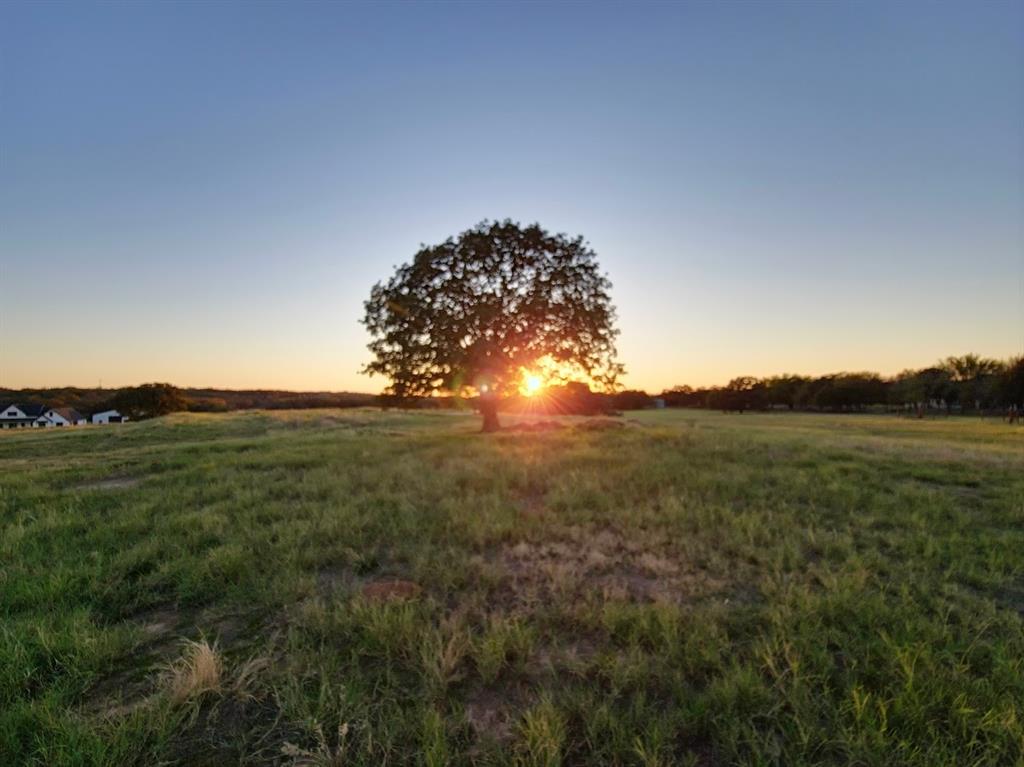 4001 Margarets Meadow Property Photo 4
