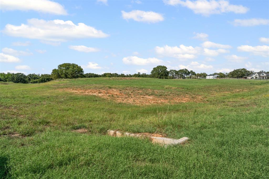 4001 Margarets Meadow Property Photo 10