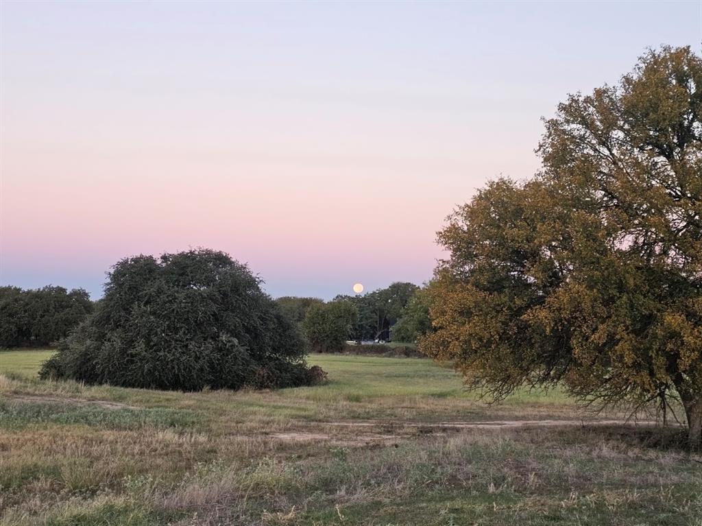 4001 Margarets Meadow Property Photo 23