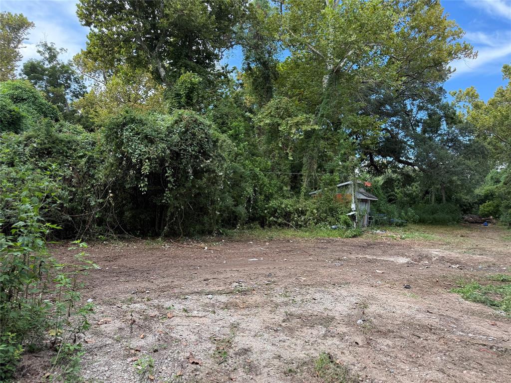 376 River Road Property Photo 5