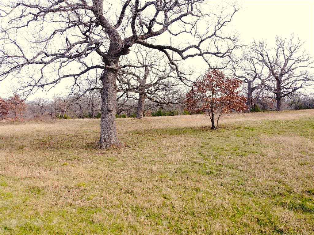 14022 Whatley Drive Property Photo 2
