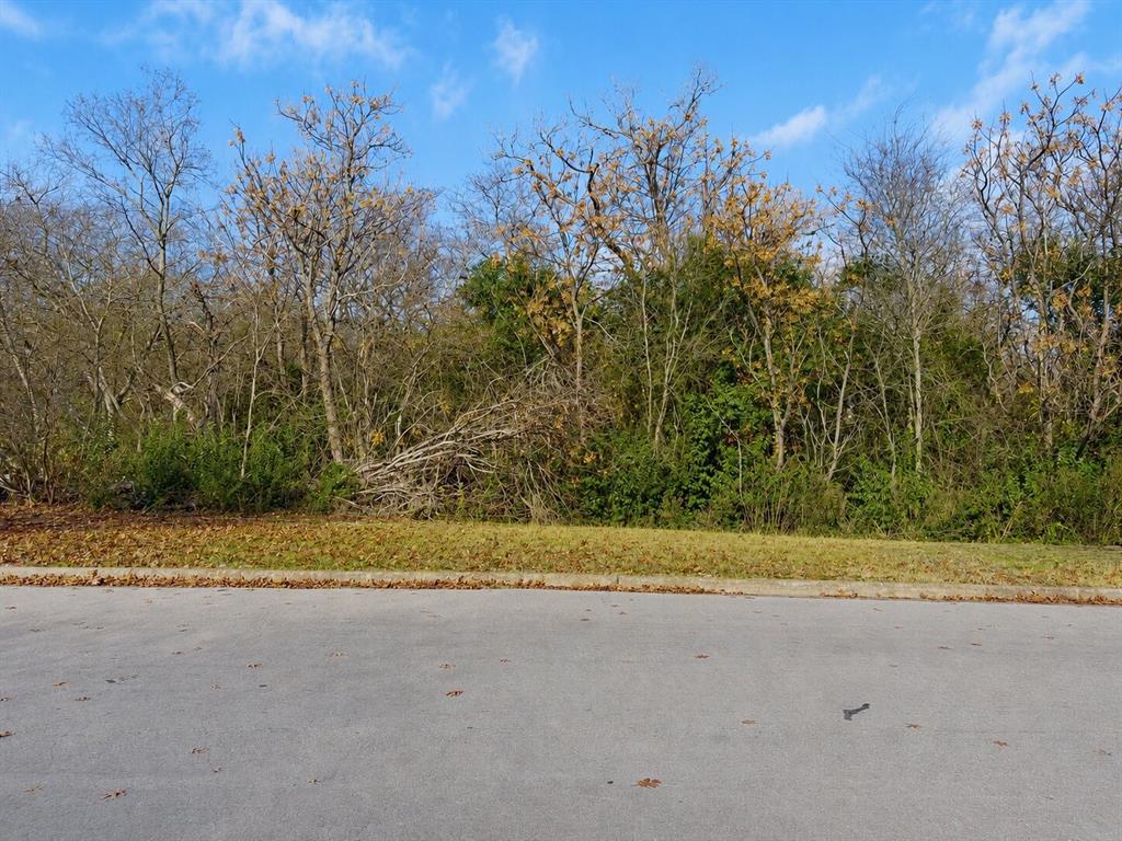 0 Mosswood Drive Property Photo 18