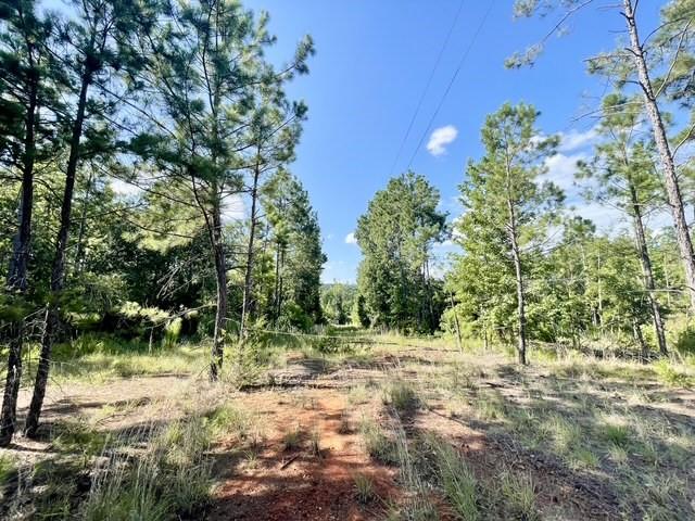 8262 Us Highway 84 Property Photo 26