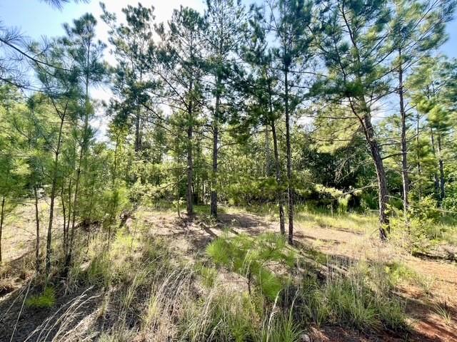 8262 Us Highway 84 Property Photo 27