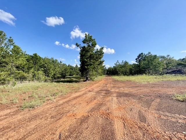 8262 Us Highway 84 Property Photo 28