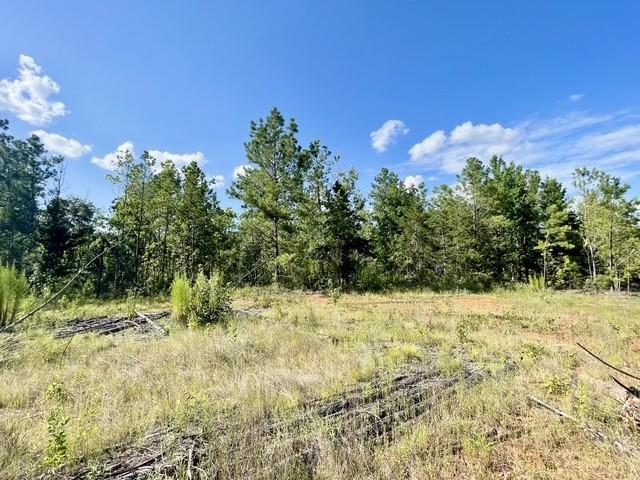 8262 Us Highway 84 Property Photo 29