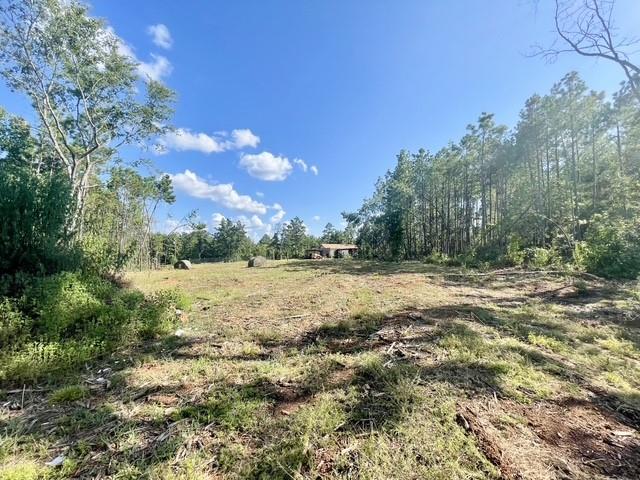 8262 Us Highway 84 Property Photo 31