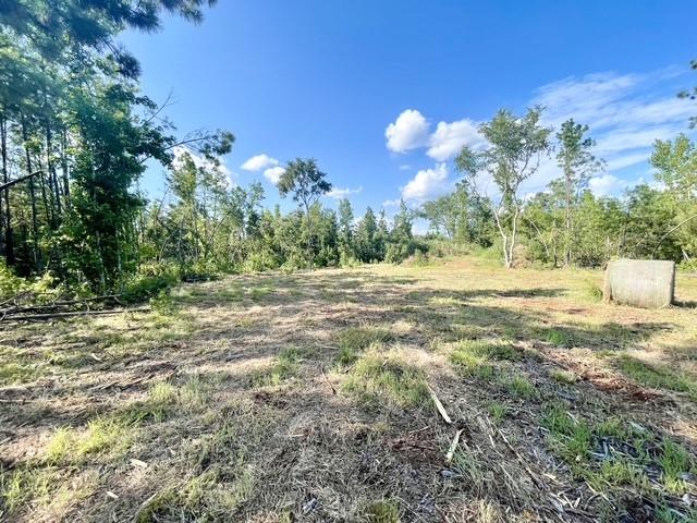8262 Us Highway 84 Property Photo 32