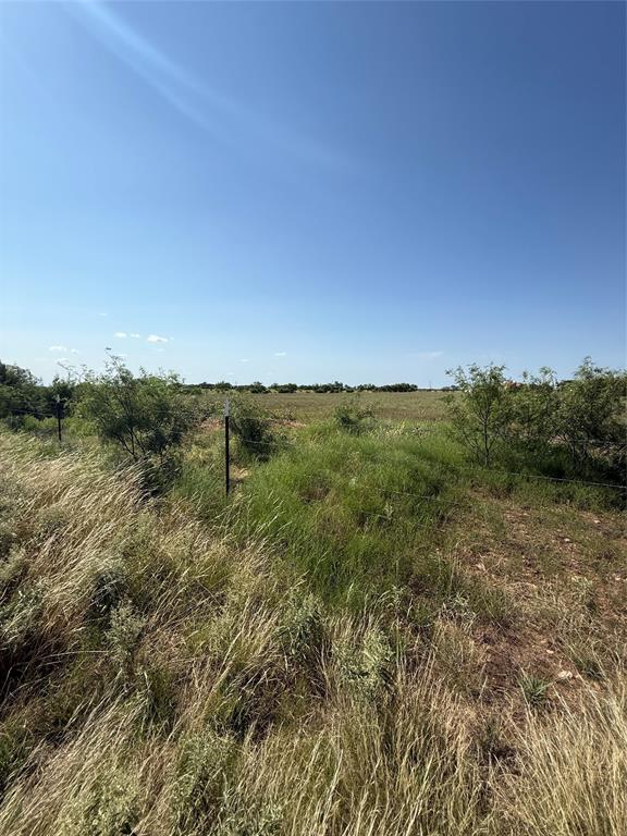 2747 County Road 103 Property Photo 13