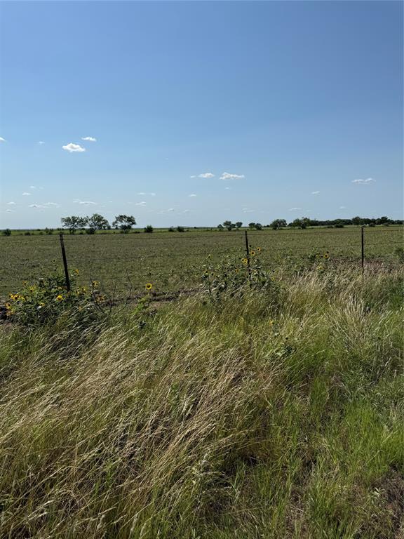 2747 County Road 103 Property Photo 14